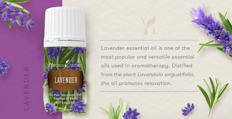 Give The Gift Of Relaxation To A Teacher! (Young Living Lavender Essential Oil)