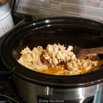 Easy Keto Crock-Pot Teriyaki Chicken Recipe