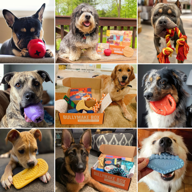 Bullymake Super Durable Dog Toys & Nutritious Treats Giveaway US 11/