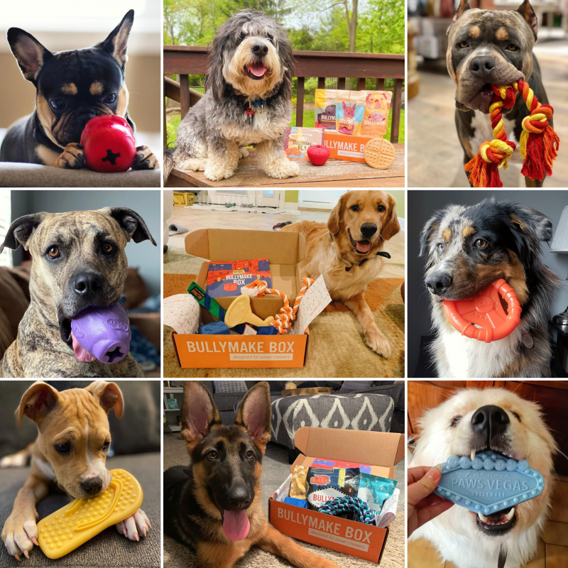 Dog Toy - Bullymake Box - A Dog Subscription Box For Power Chewers!