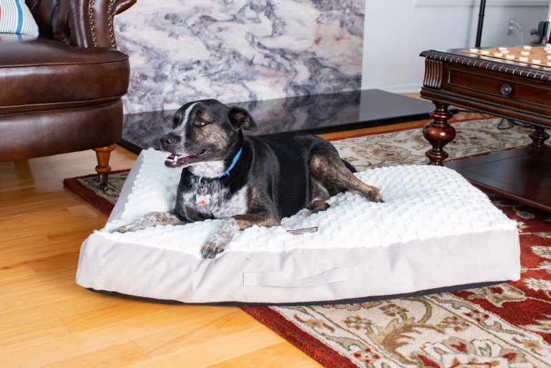 armarkat dog bed