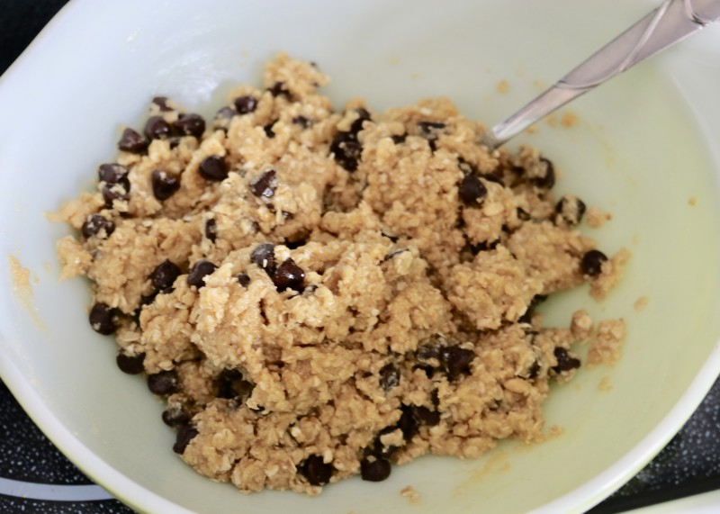 Oatmeal Chocolate Chip Bar Recipe