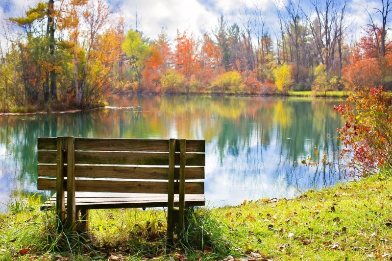 fall leaves and lake