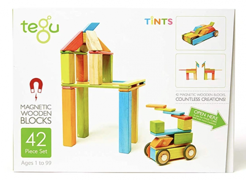 Tegu Magnetic Building Blocks