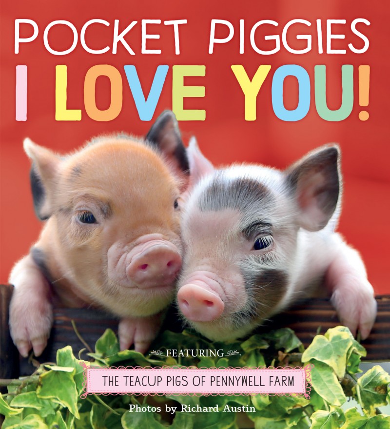 Pocket Piggies I Love You Book