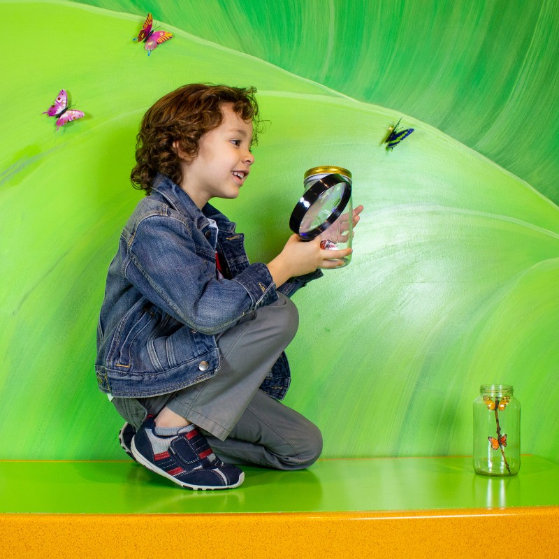 Save BIG at the Pediped® Semi-Annual Sale