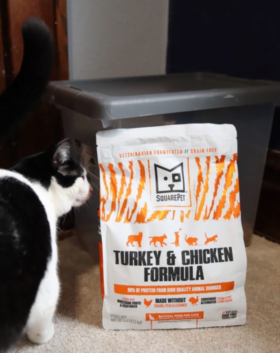 SquarePet HighMeat, LowCarb Cat Food Review + Giveaway Emily Reviews