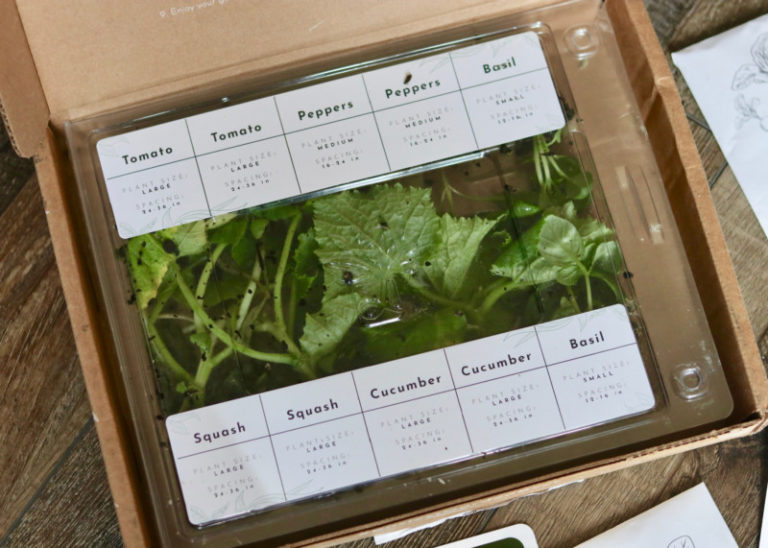 Leaf’d Box Easiest Garden Ever! {Review} Emily Reviews