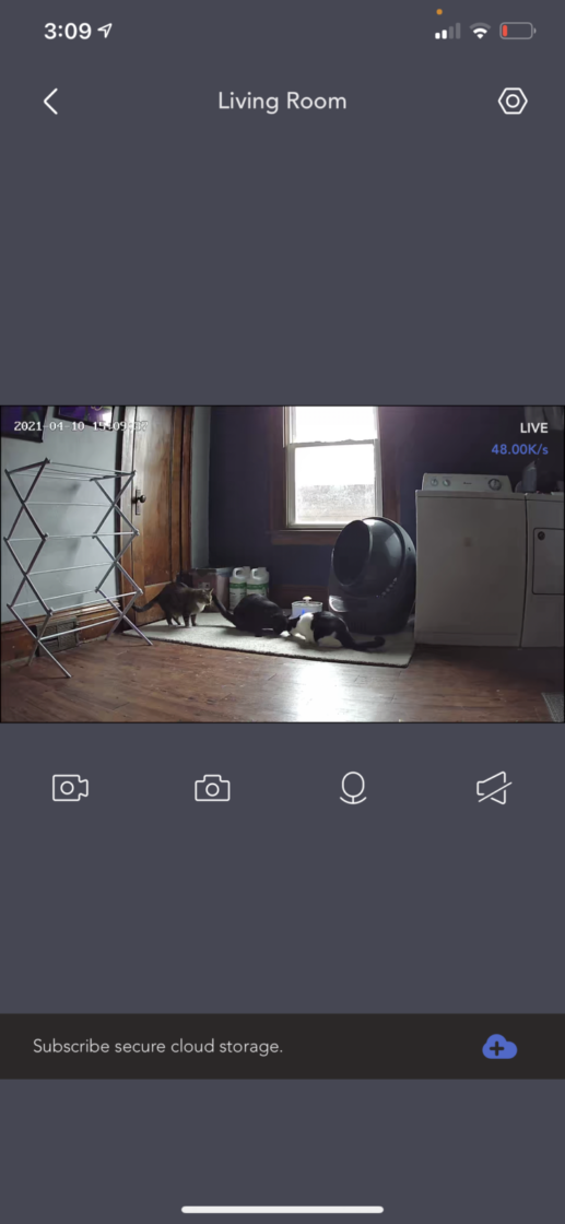 nooie indoor cam