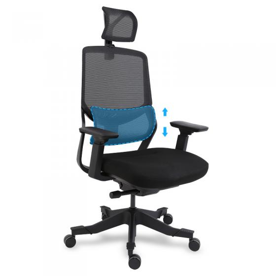 Flexispot soutien ergonomic office chair review
