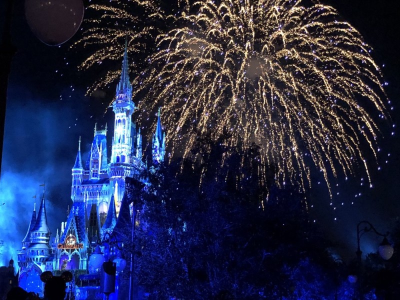 reasons to take toddlers to walt disney world