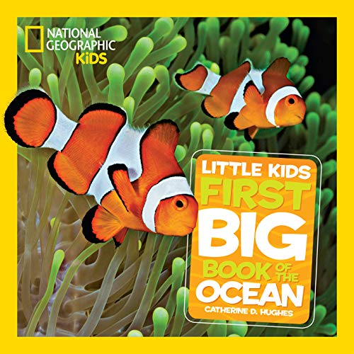 little kids first book of the ocean