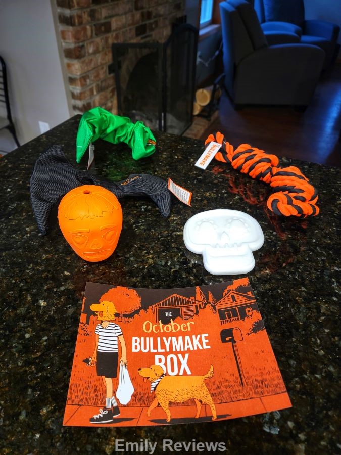 Bullymake Box, Durable Dog Toys! - Tales From Home