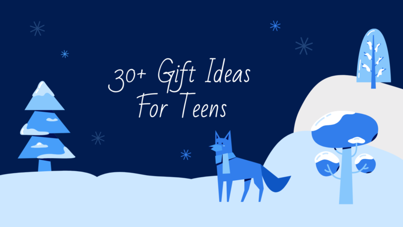 Holiday gift ideas for teen boys and teen girls 2021