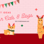 Gift Ideas for Cats and Dogs | 2021 Pet Gift Guide