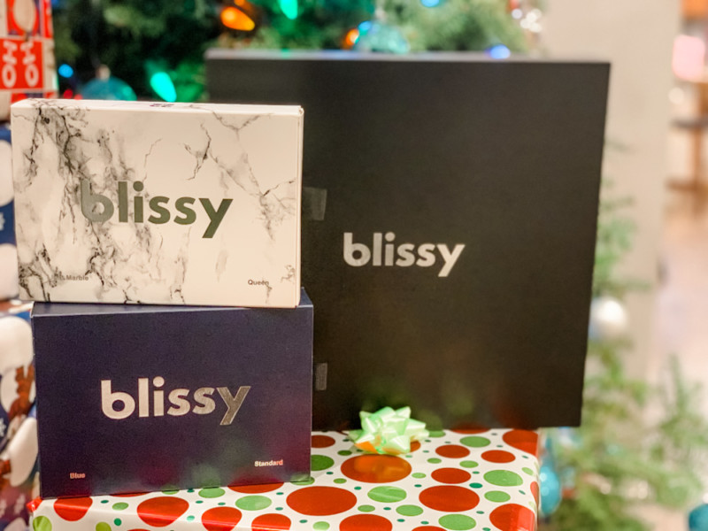 Blissy Silk Pillowcases - Sleep Better, Sleep Cooler, and Wake Up With Clear Skin & Beautiful Hair!