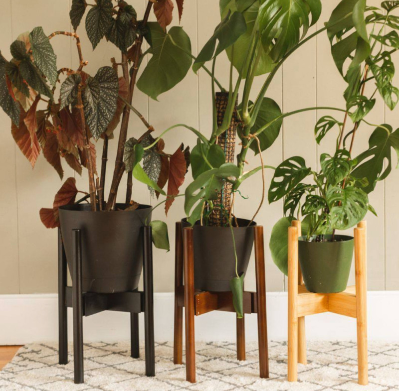 Decluttered Adjustable Plant Stands + New Plant Stools (Review)