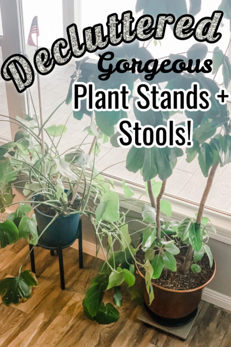 Decluttered Adjustable Plant Stands + New Plant Stools (Review)