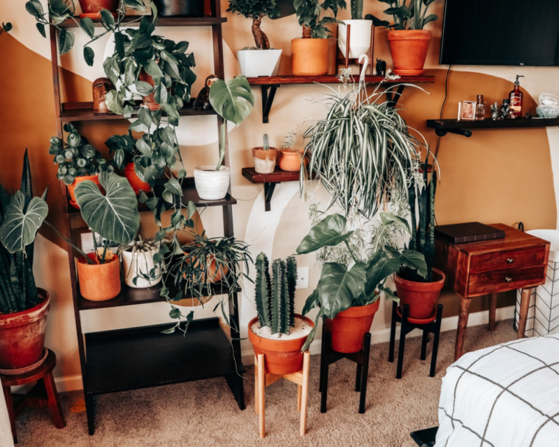 Decluttered Adjustable Plant Stands + New Plant Stools (Review)