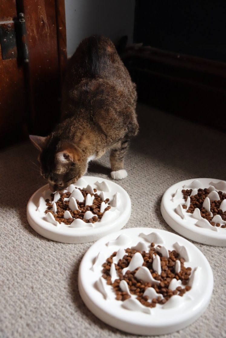 my lovely feline ceramic feeder