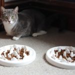 my lovely feline ceramic feeder