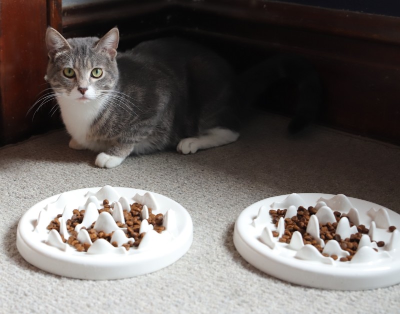 my lovely feline ceramic feeder
