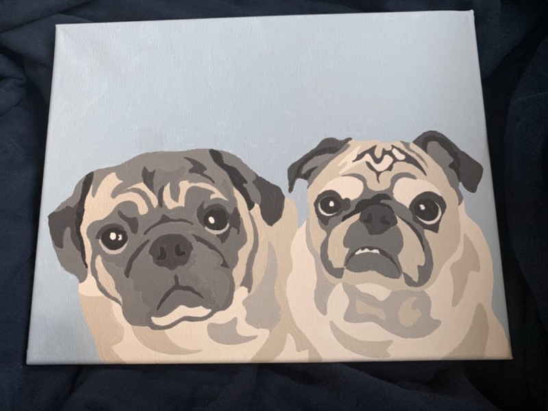 custom pet paint by number