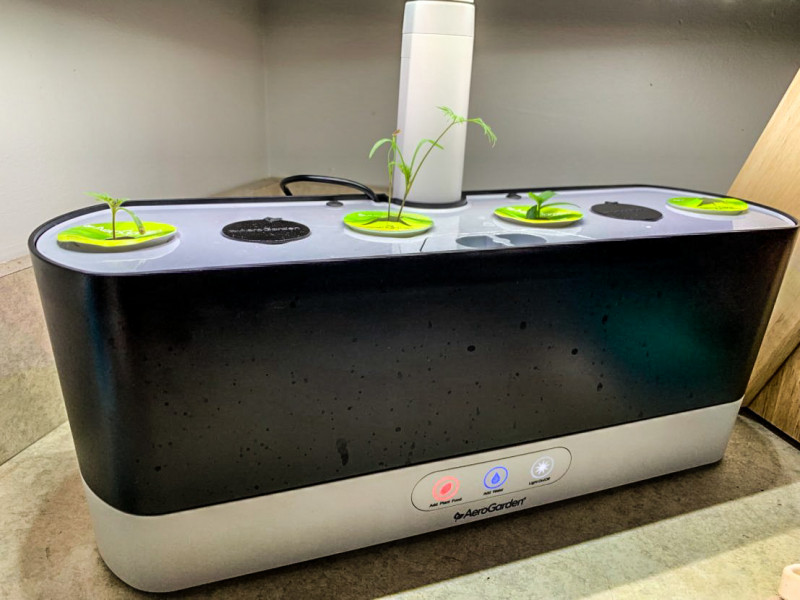 AeroGarden harvest slim