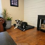 LAY LO Pets Stylish Orthopedic & Water-Resistant Dog Bed ~ Review
