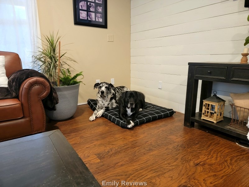 Farmhouse Dog Items  Puppy room, Dog bedroom, Dog area