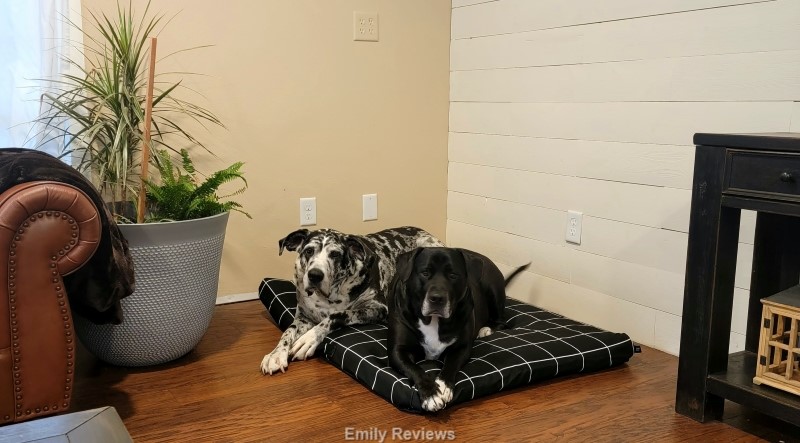 Washable Dog Bed, Orthopedic Dog Bed, Dog Bed Cover, Dig-Proof Dog Bed Cover, Breathable Dog Bed, Boho Pet Bed, Farmhouse Pet Bed, XL Dog Bed, Pet Gifts, Great Dane, Mastiff, Pit Bull