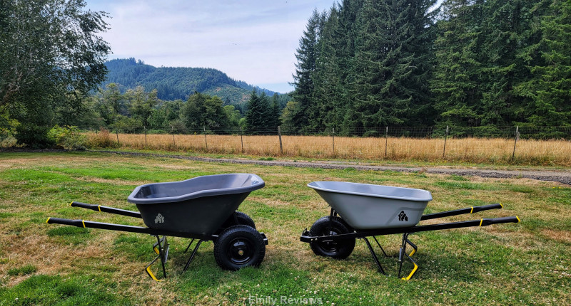 https://www.emilyreviews.com/wp-content/uploads/2022/10/Gorilla-Wheelbarrows.jpeg