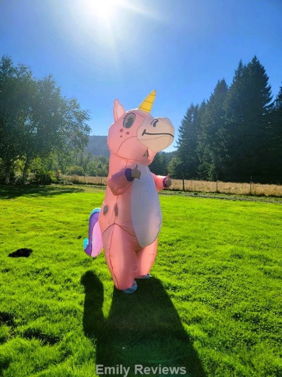 Inflatable Costumes Review Emily Reviews