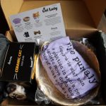 CatLadyBox Subscription Review + Giveaway