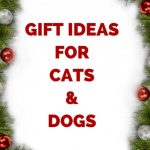 Gift ideas for cats and dogs