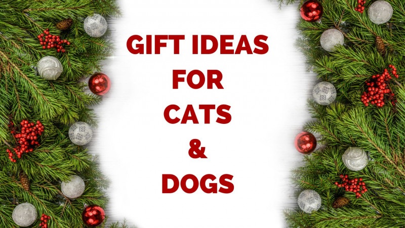 Gift ideas for cats and dogs