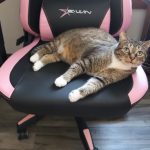 ewin knight gaming chair