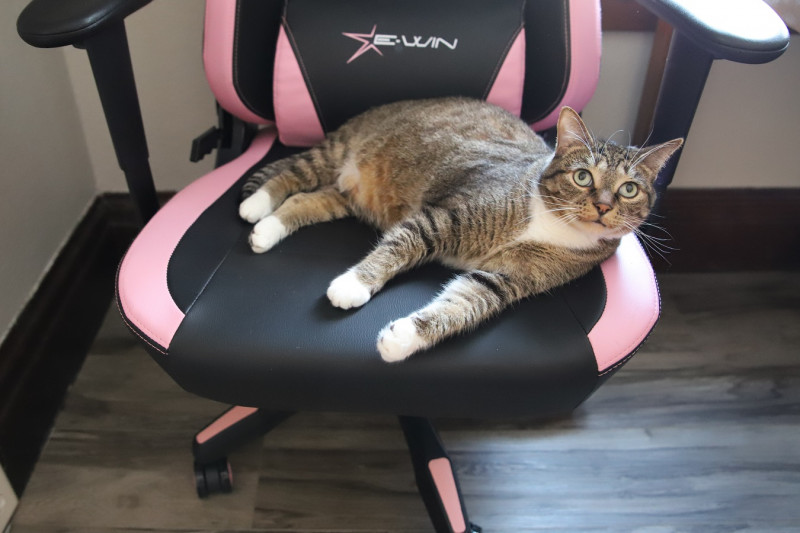 ewin knight gaming chair