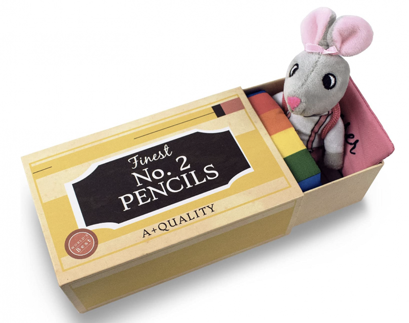 Foothill Toy Co. Mice & Animals in Boxes - 'Susie The Schoolhouse Mouse' Playset with Stuffed Animal in a Pencil Box Bed