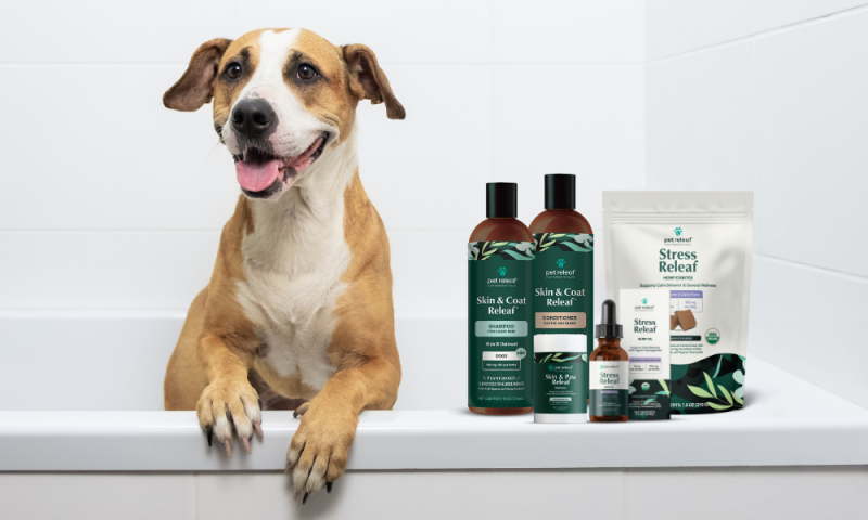 dog spa day bundle giveaway