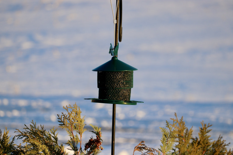 Coralov Bird Feeder