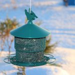 Coralov Bird Feeder