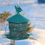 Coralov Anti-Rust Metal Bird Feeder Review