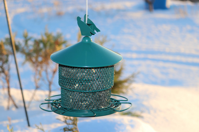 Coralov Bird Feeder