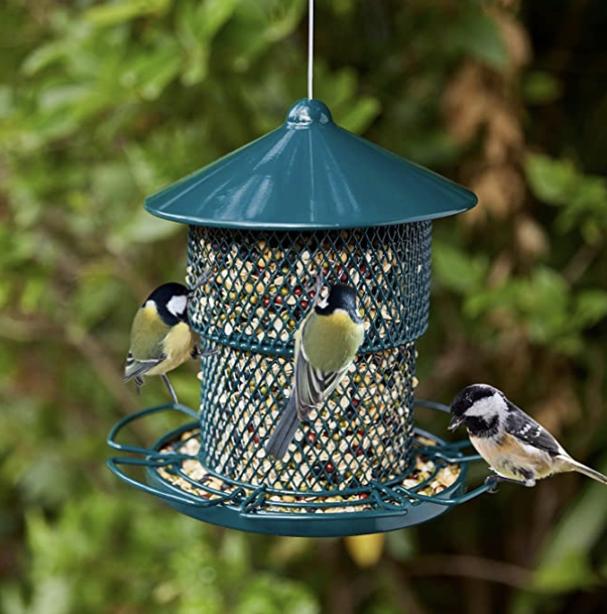 Coralov Bird Feeder