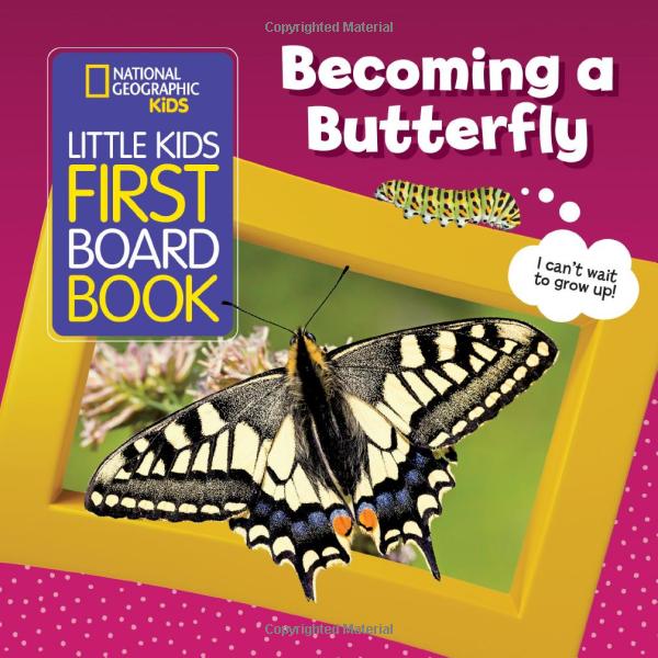 becoming a butterfly board book