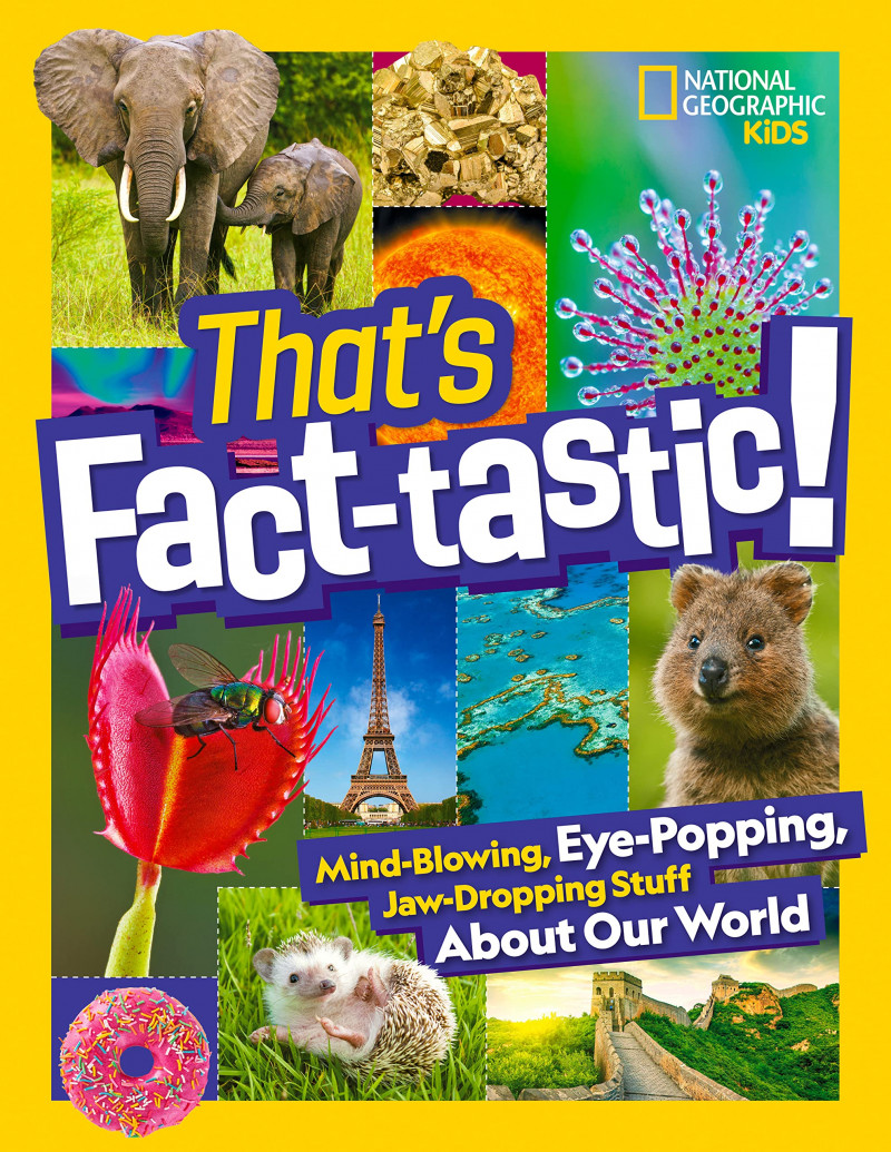 that's factastic nat geo kids