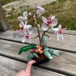 JMBrick layer orchid set