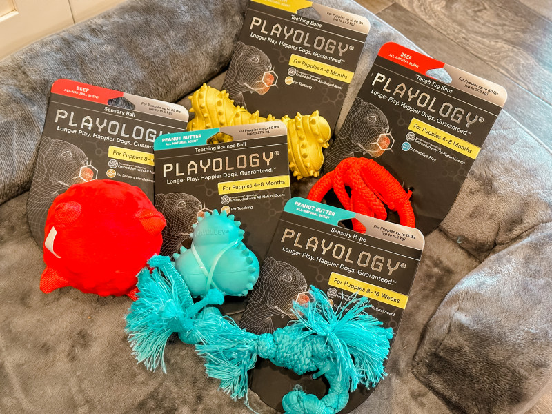 Playology Pets - Best Toys For Puppies