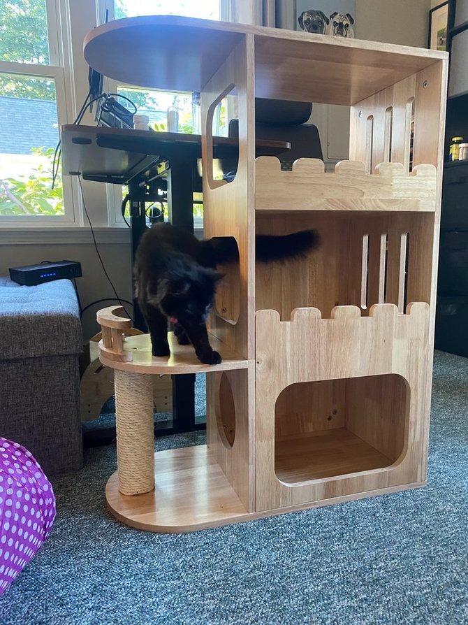 petomg large cat tower